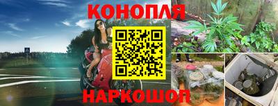 тгк Тулун