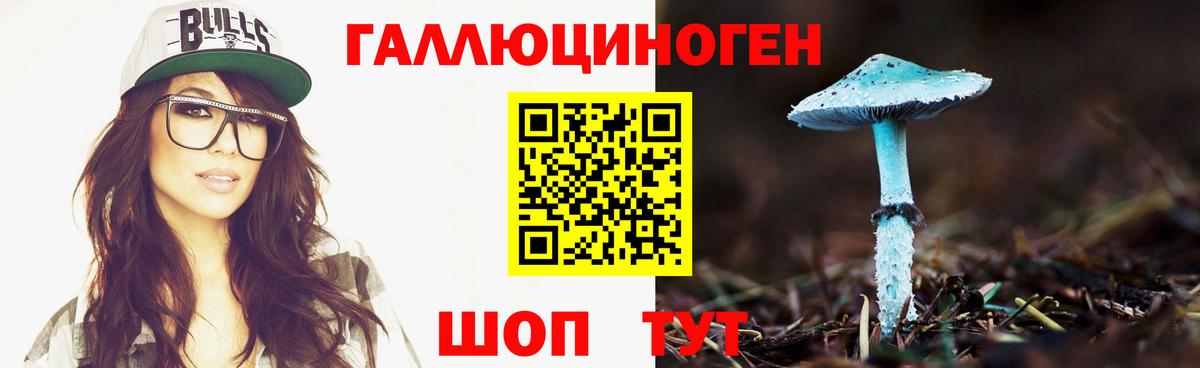 Можга  Псилоцибиновые грибы прущие грибы  Вход с VPN 